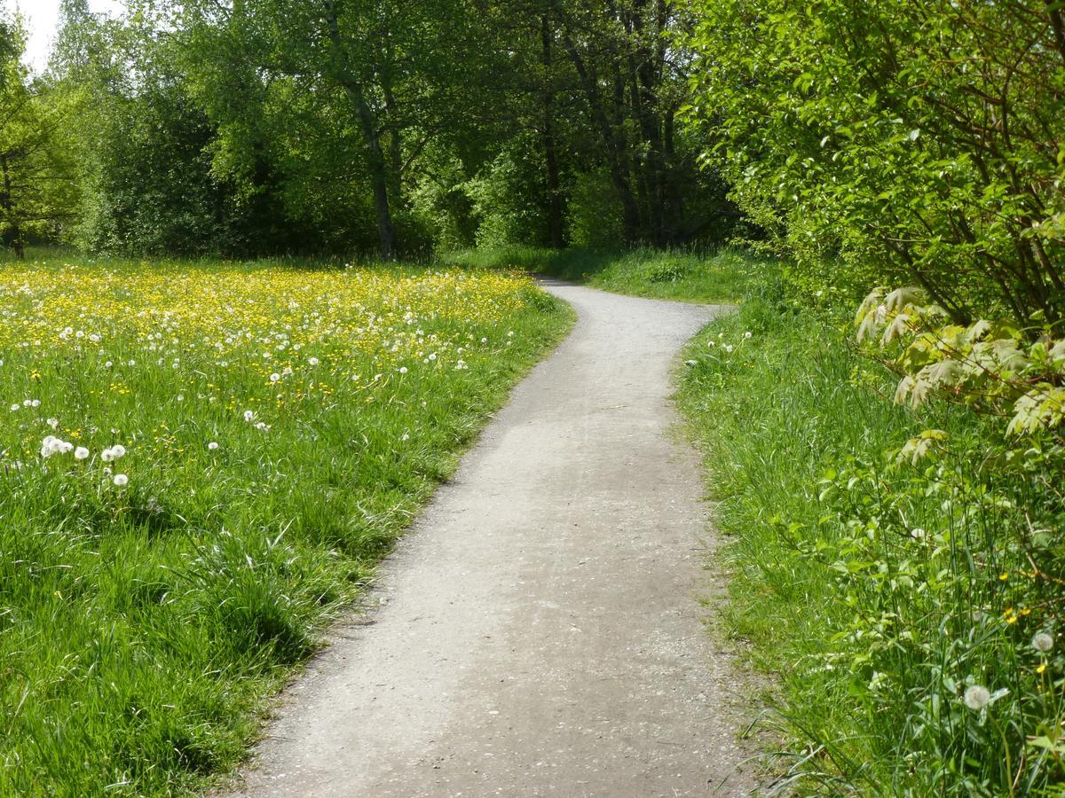In Am Stadtweiher * Kempten (Allgäu)